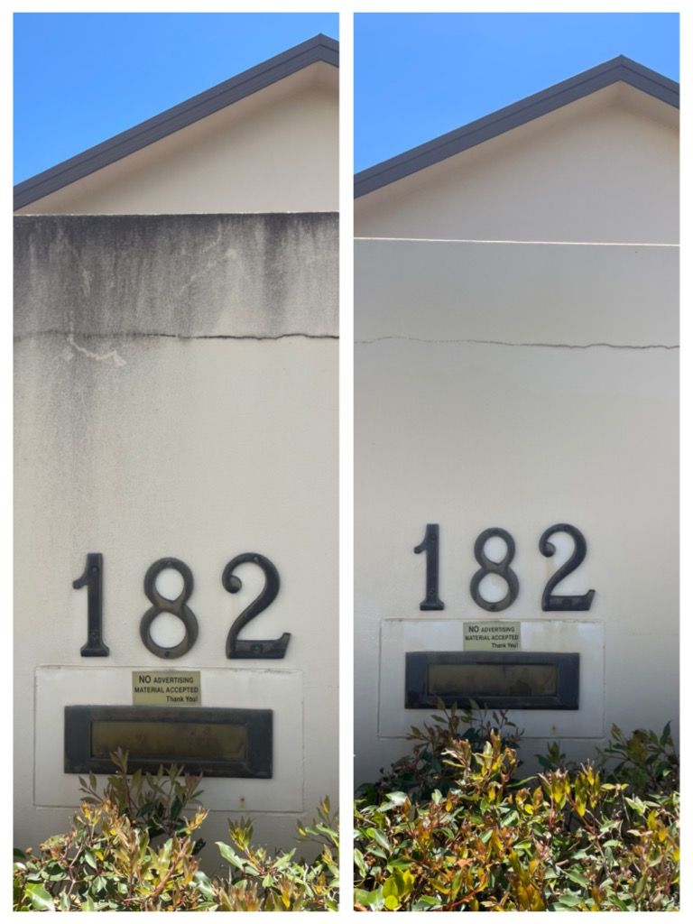 Pressure Wash Gold Coast using soft wash for a fence clean in Elanora to bring the curb appeal back.