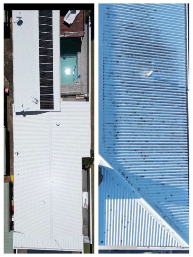 Soft washing of a house in Palm Beach Gold Coast.